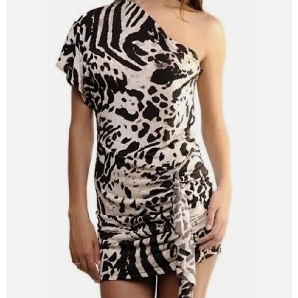 One Side Sleve Animal Print Mini Dress
